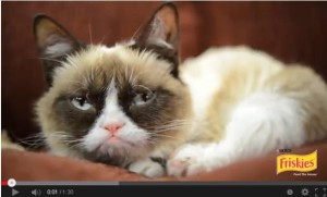 F&DB TV: Feline Facebook star inks Nestle endorsement deal